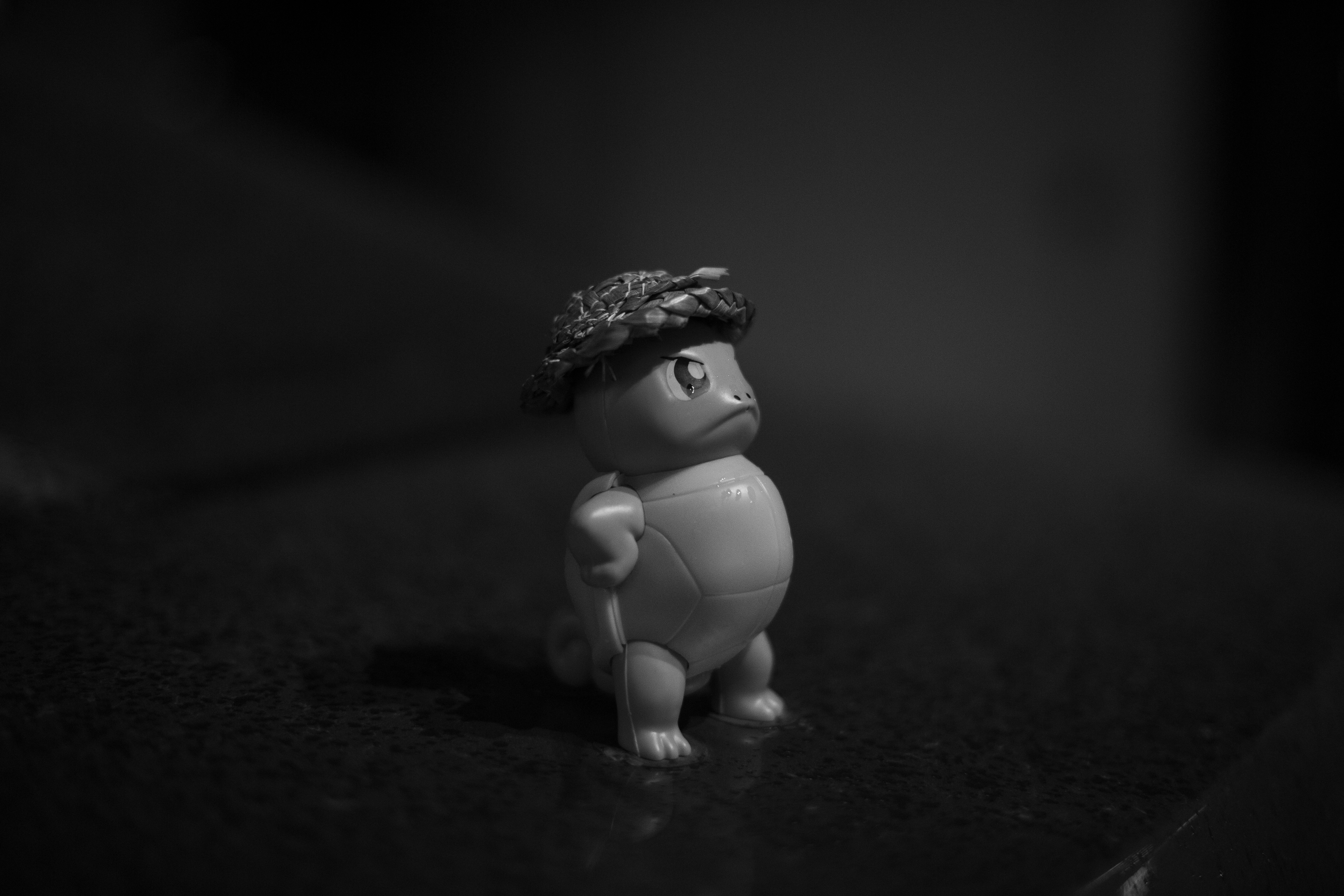 忻州 6