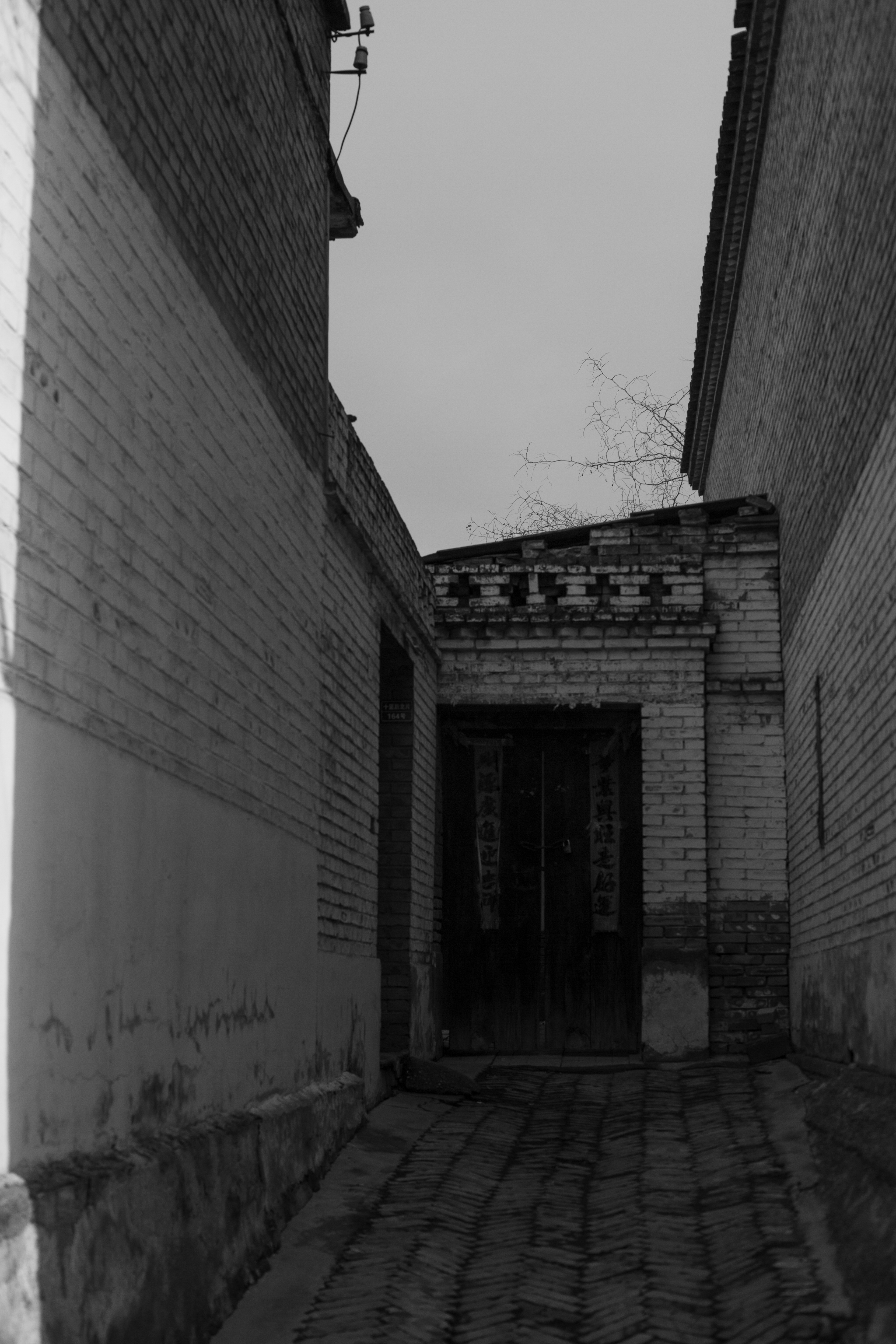 忻州 19