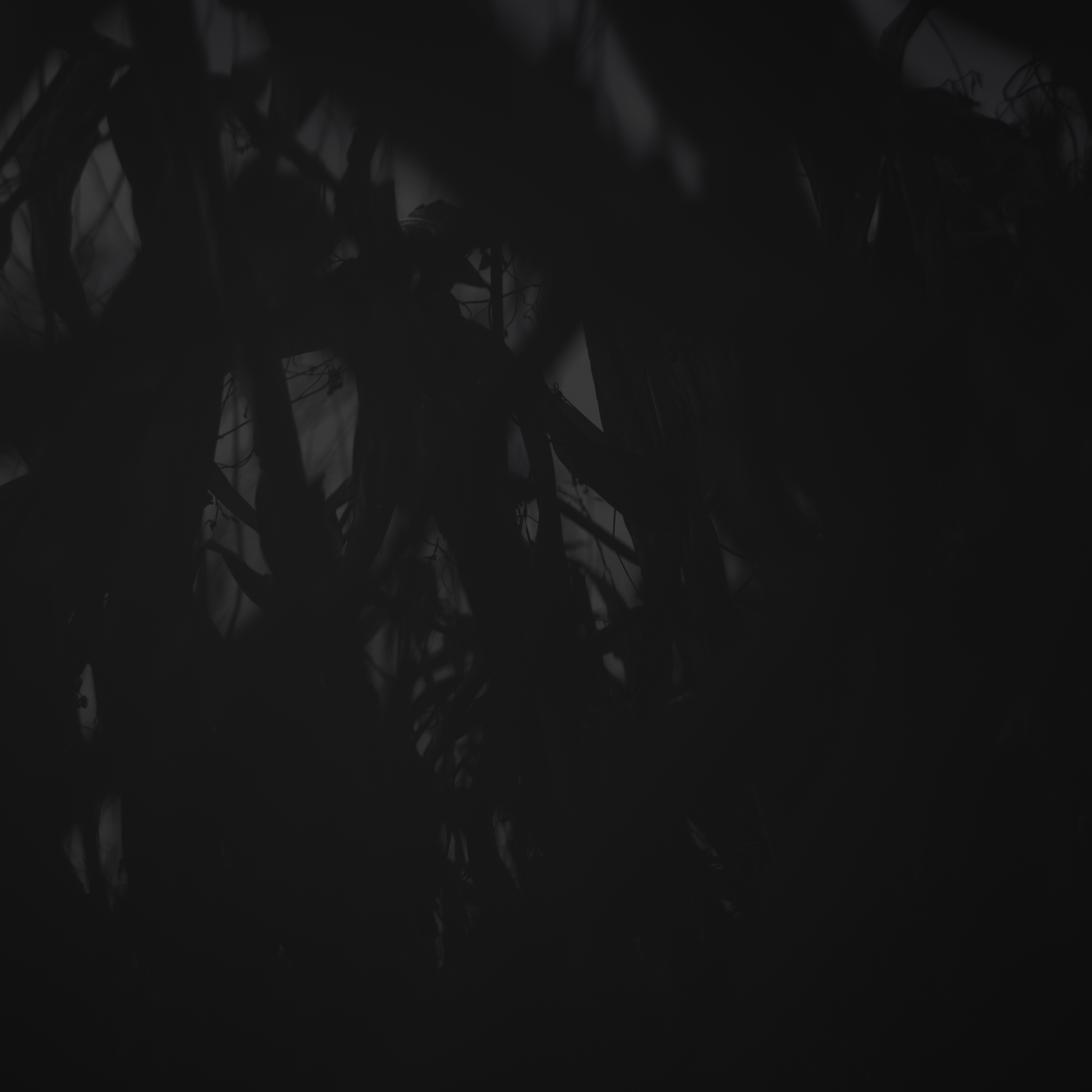 忻州 12