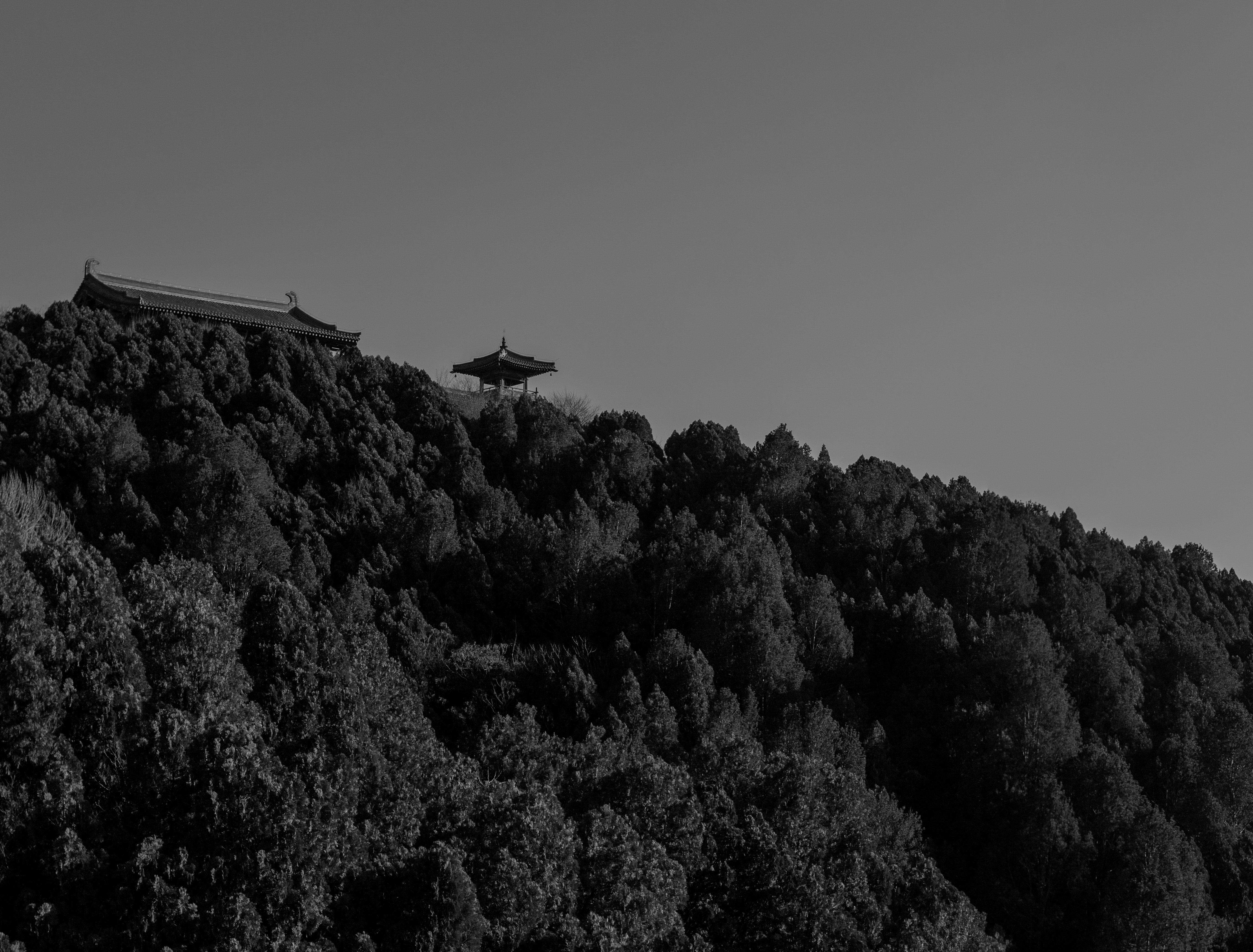 太山 20