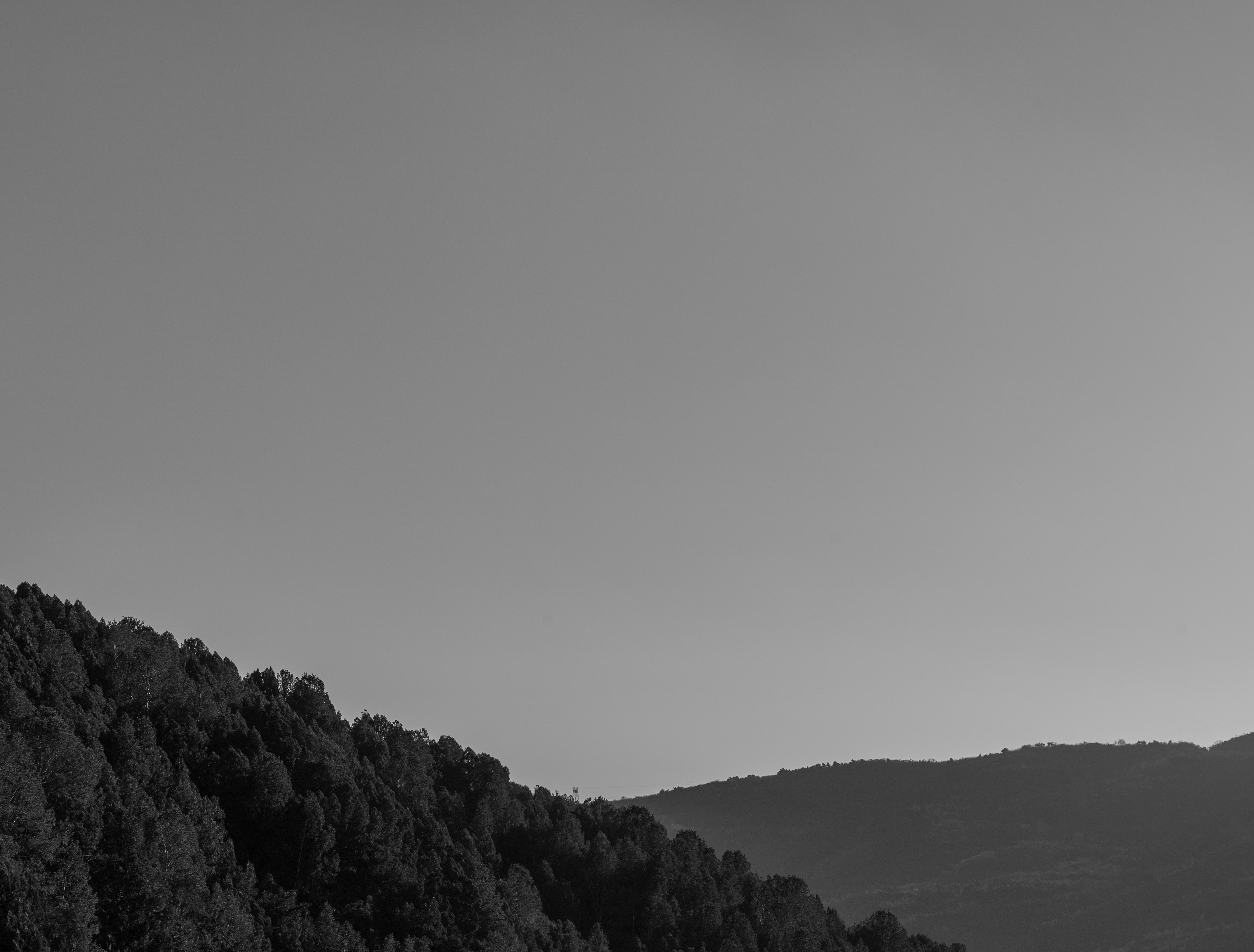 太山 21
