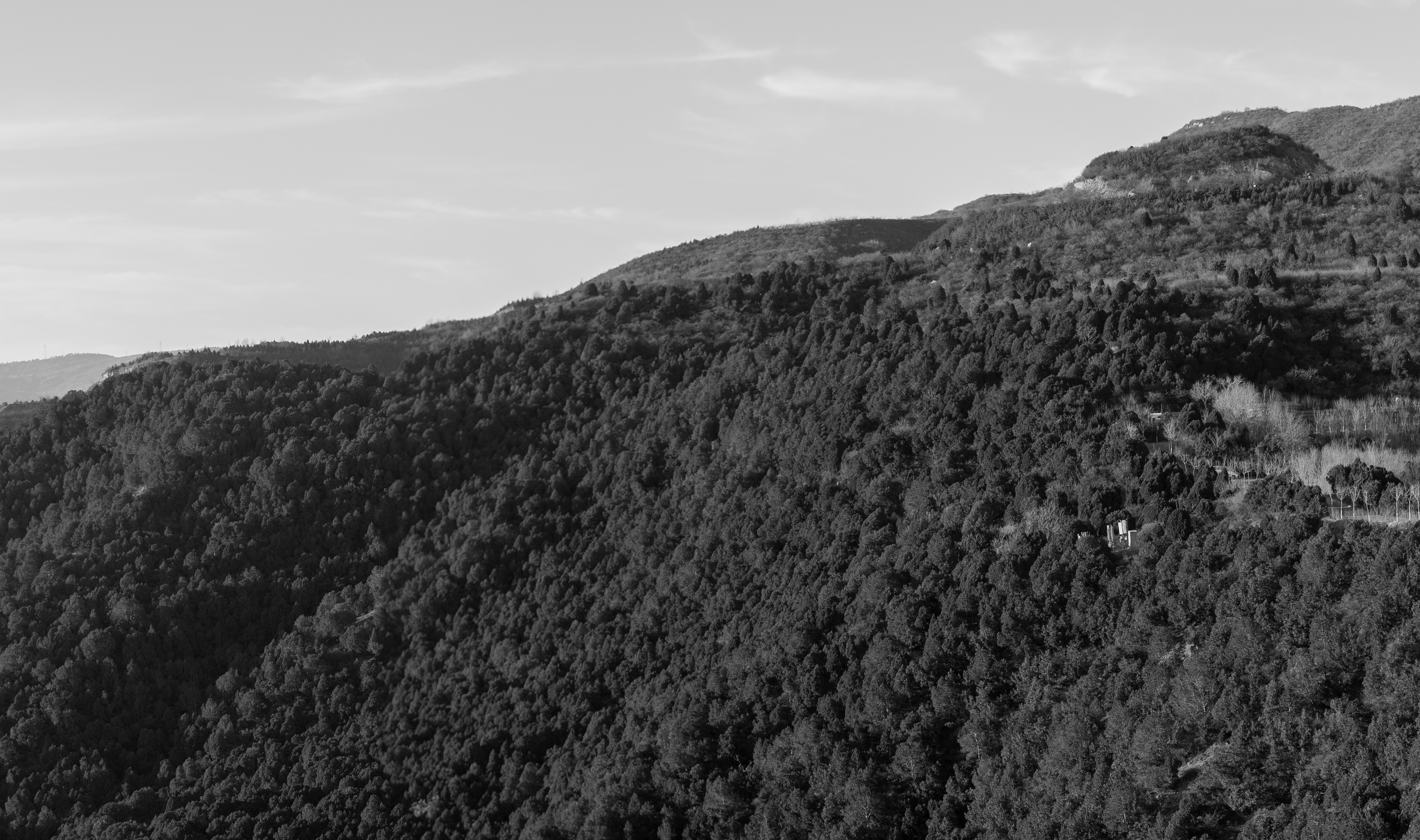 太山 18