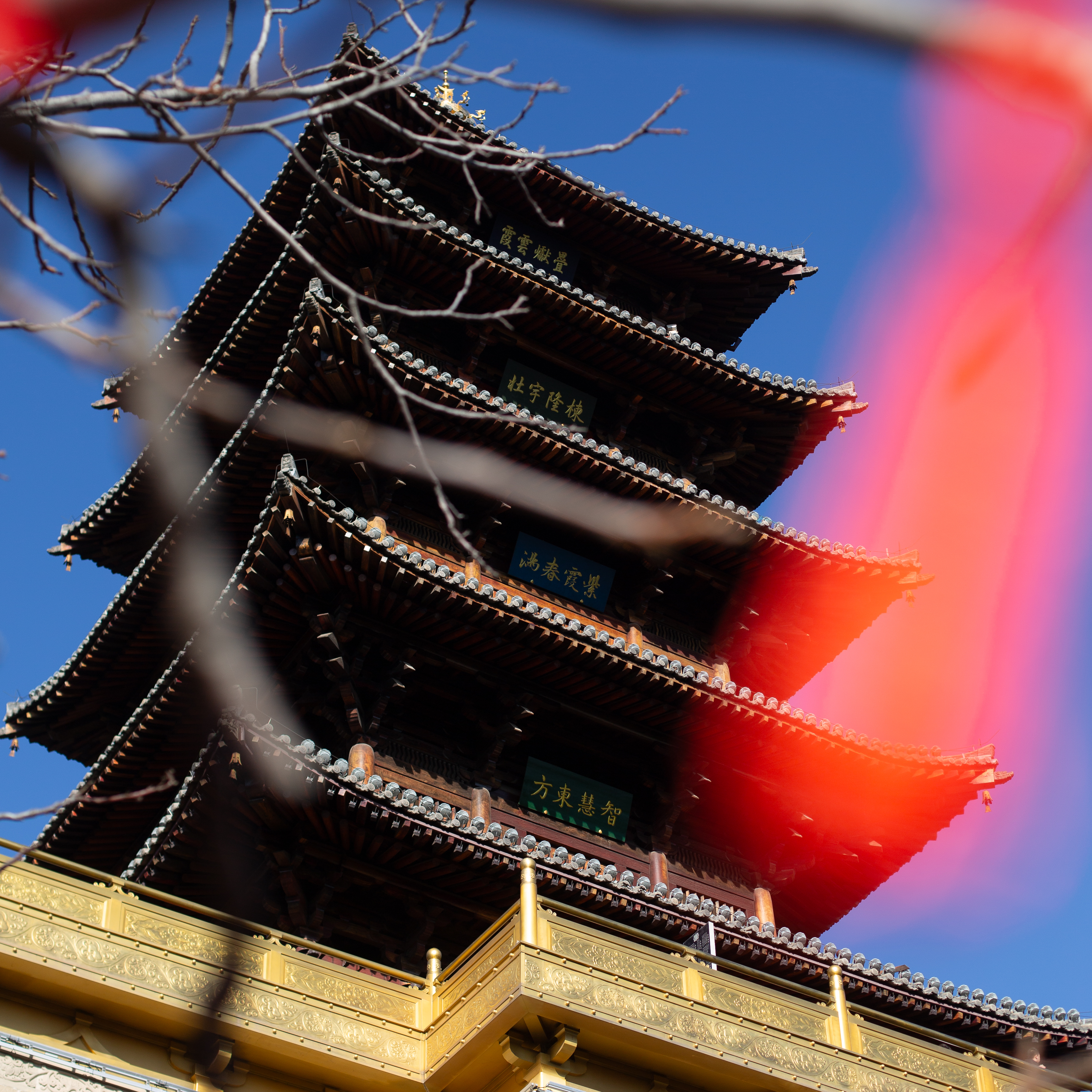 太山 2