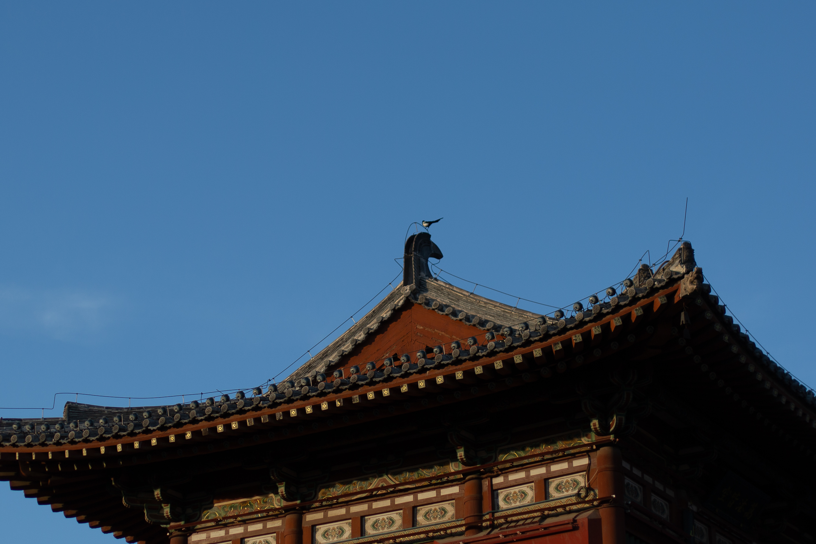 太山 4