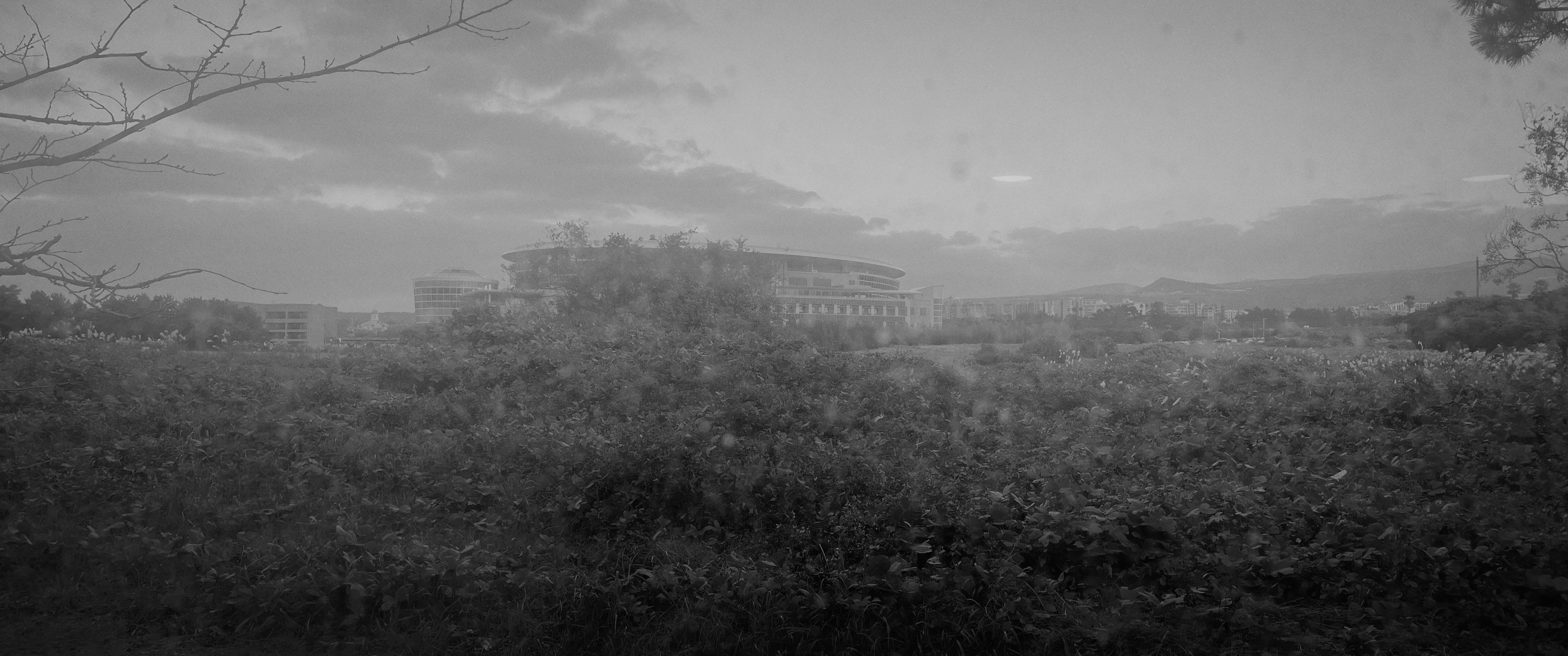 济州岛 6