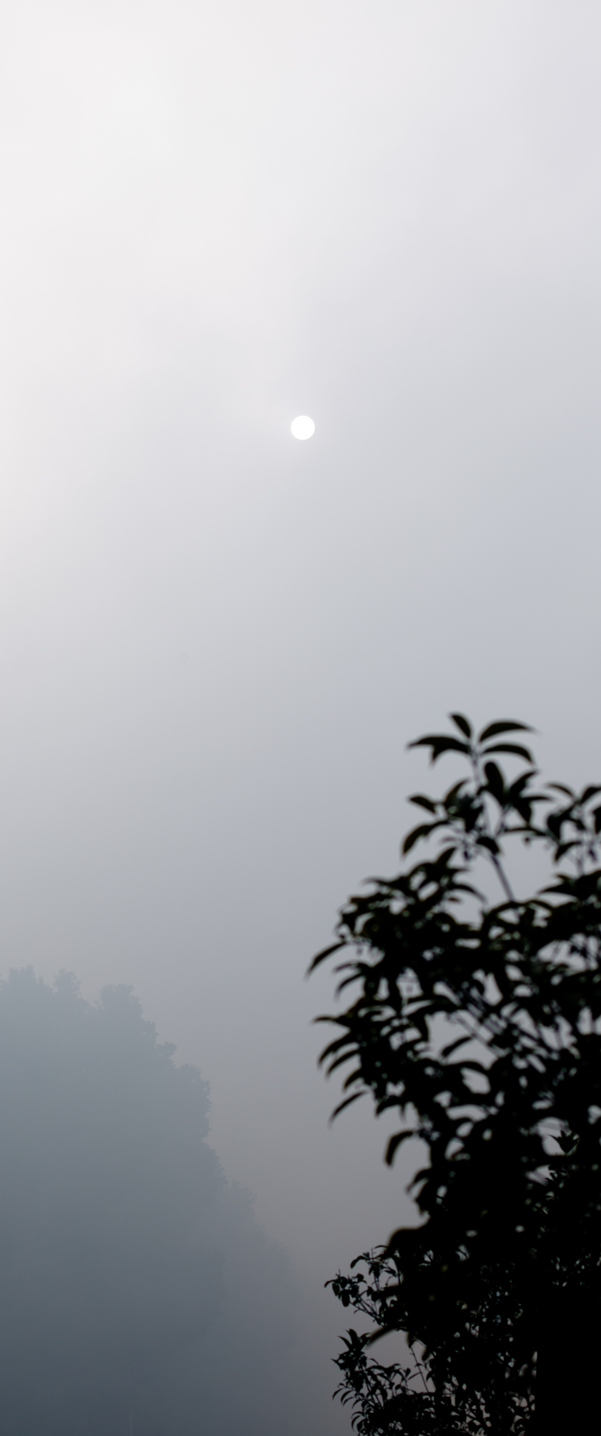 江西 2