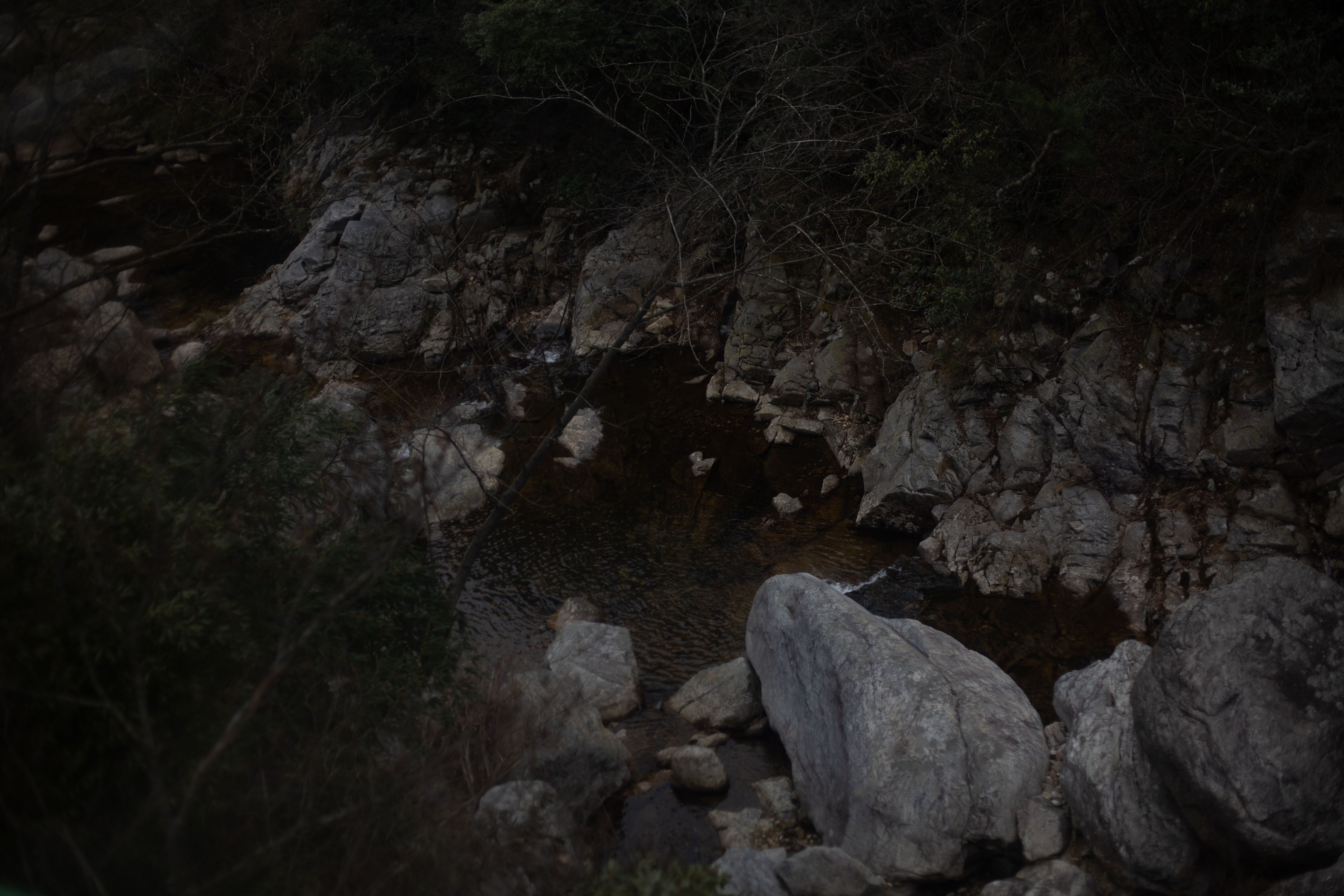 庐山 8
