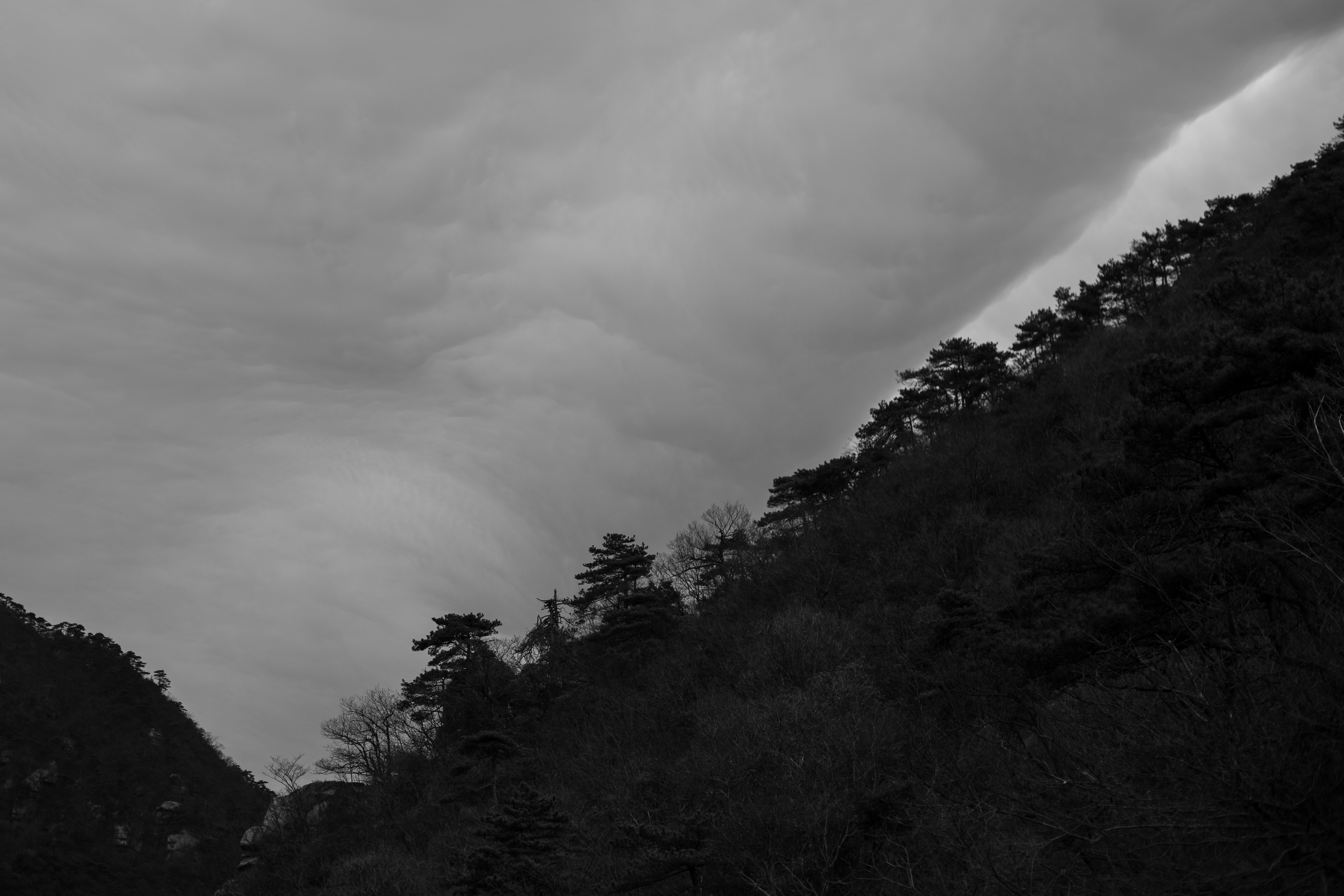 庐山 9