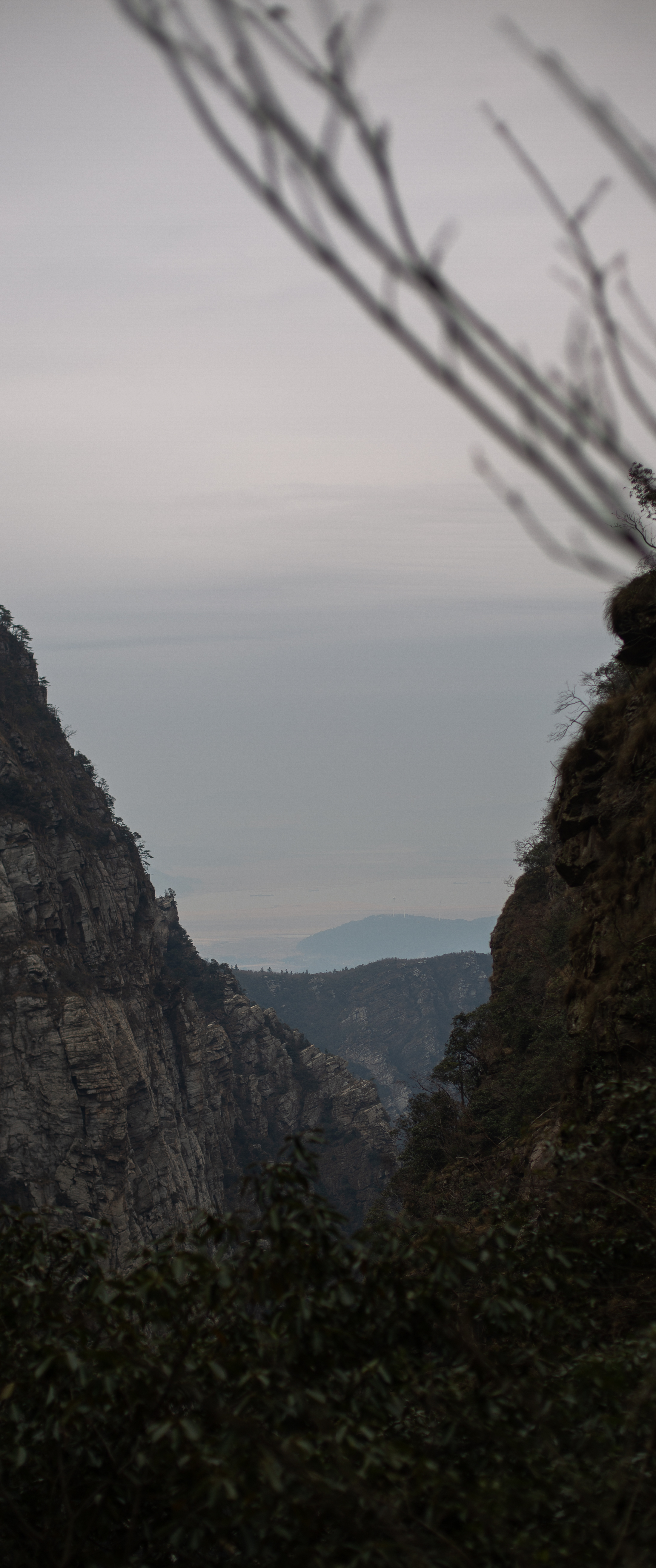 庐山 11