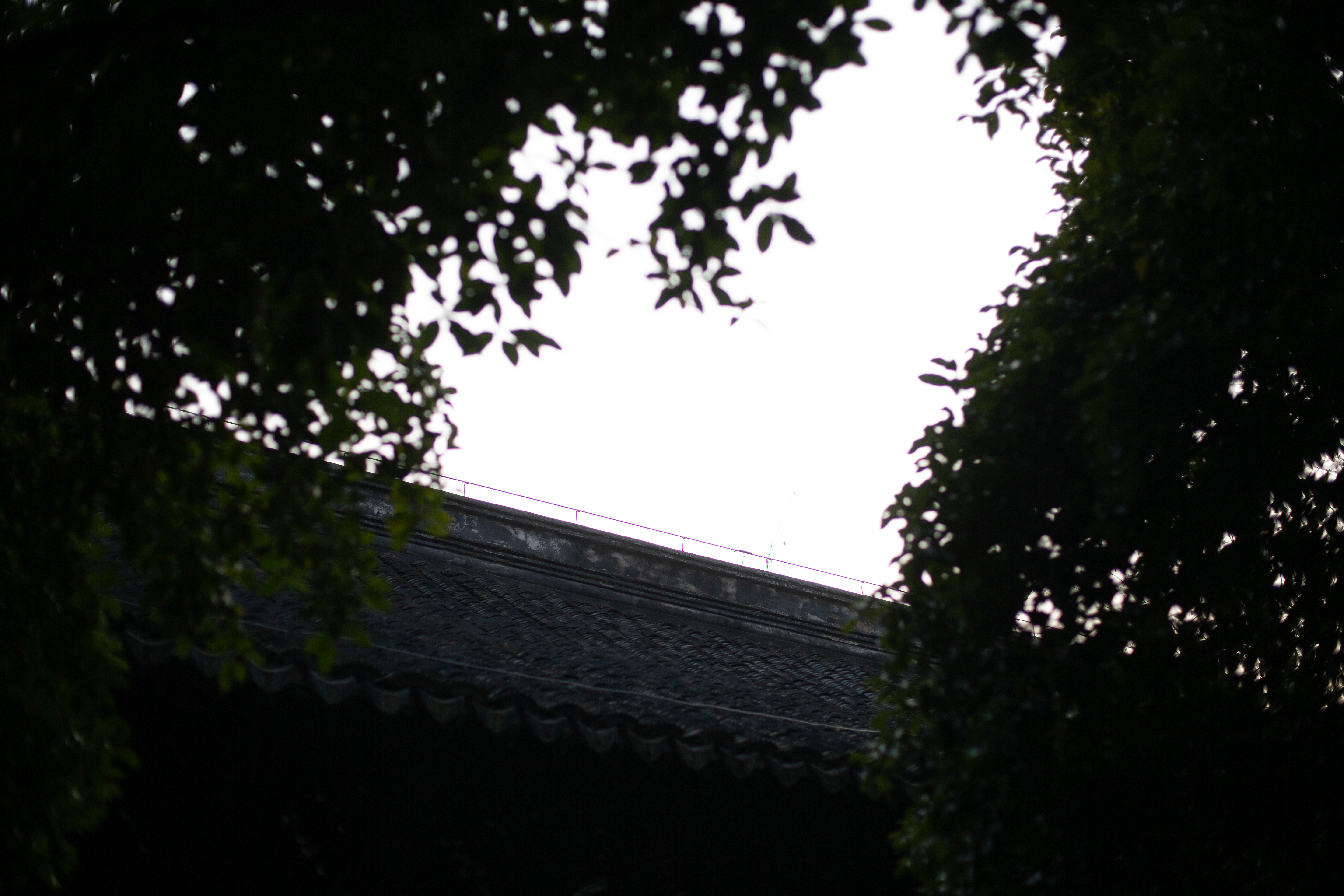 南京 6