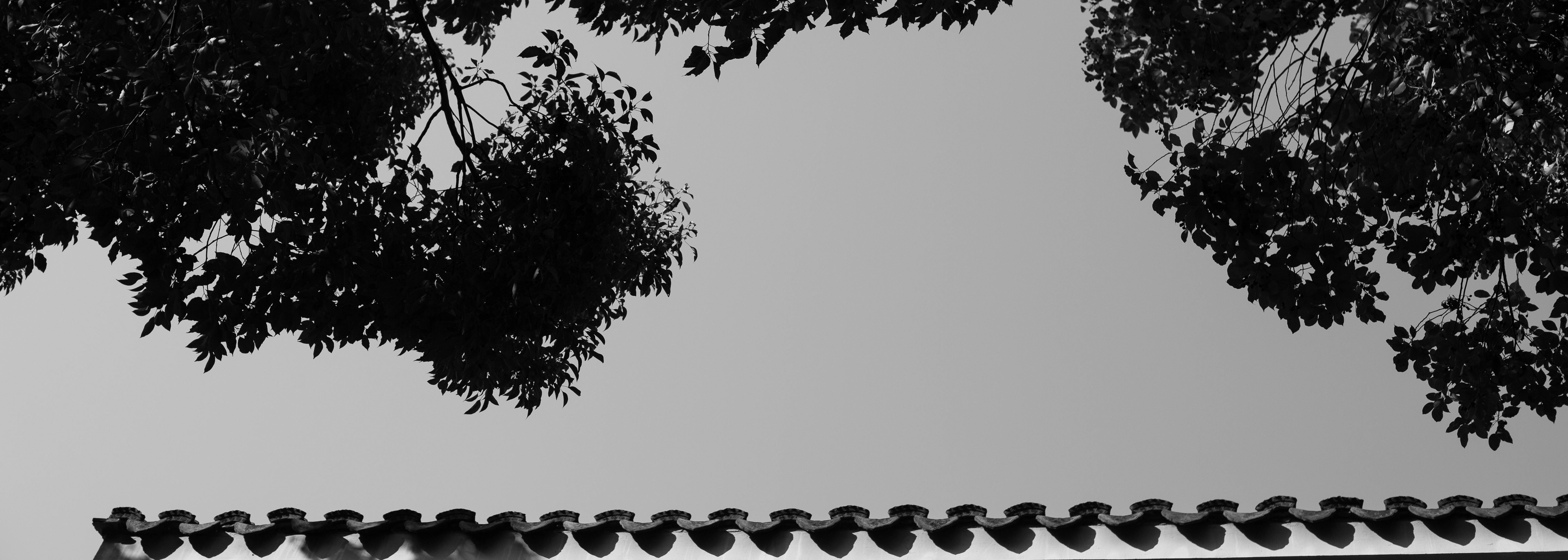 苏州 14