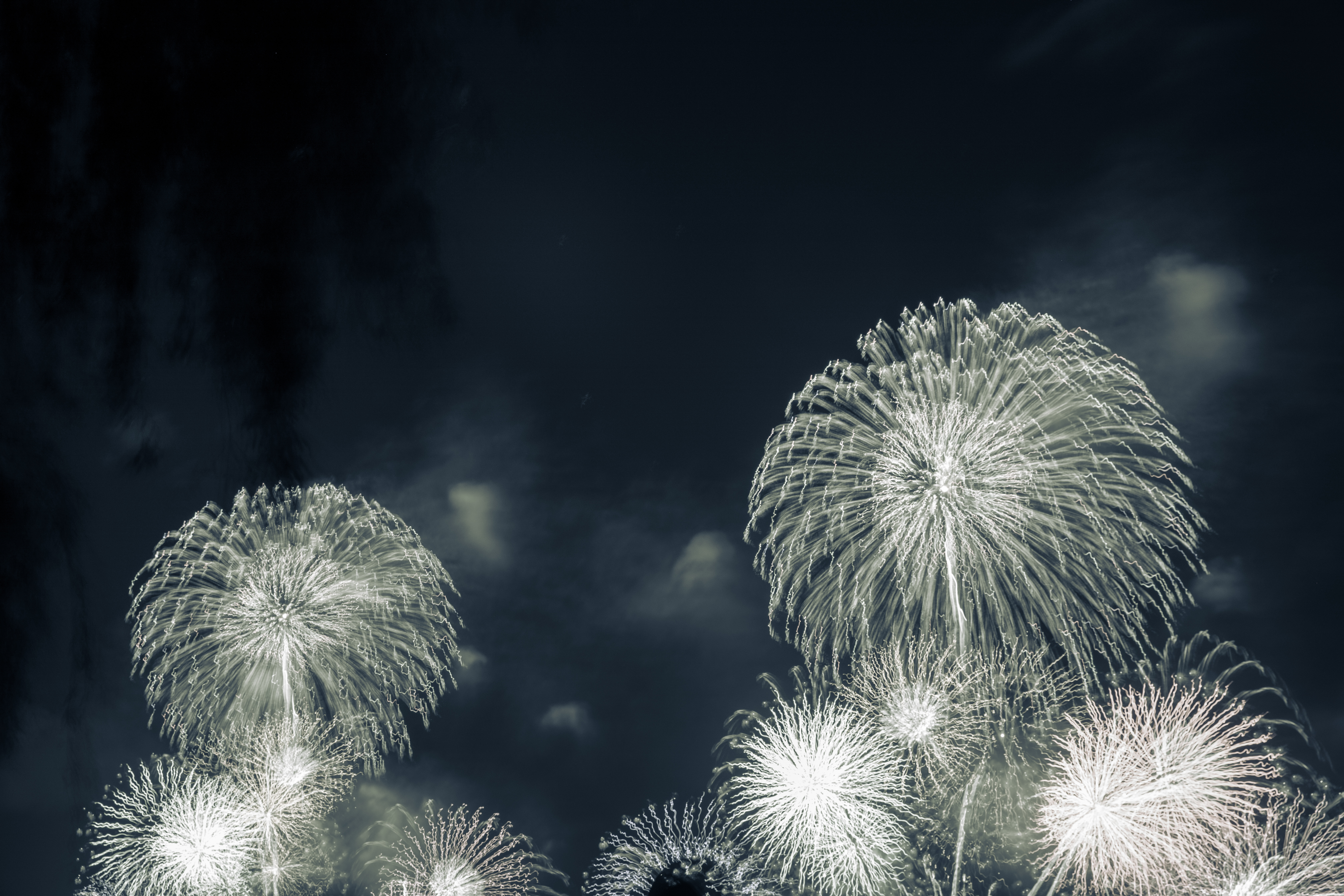 花火 7