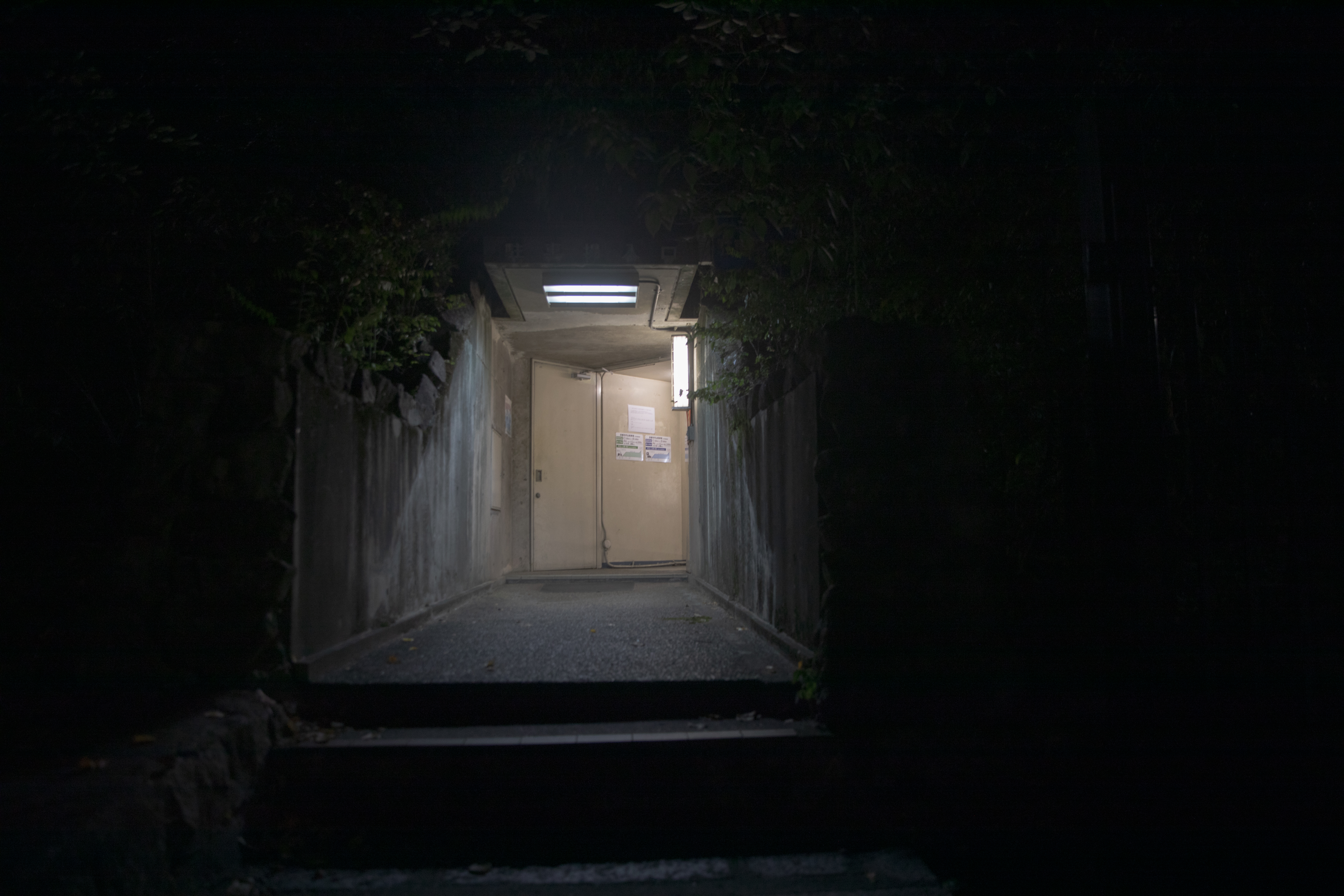大阪 5