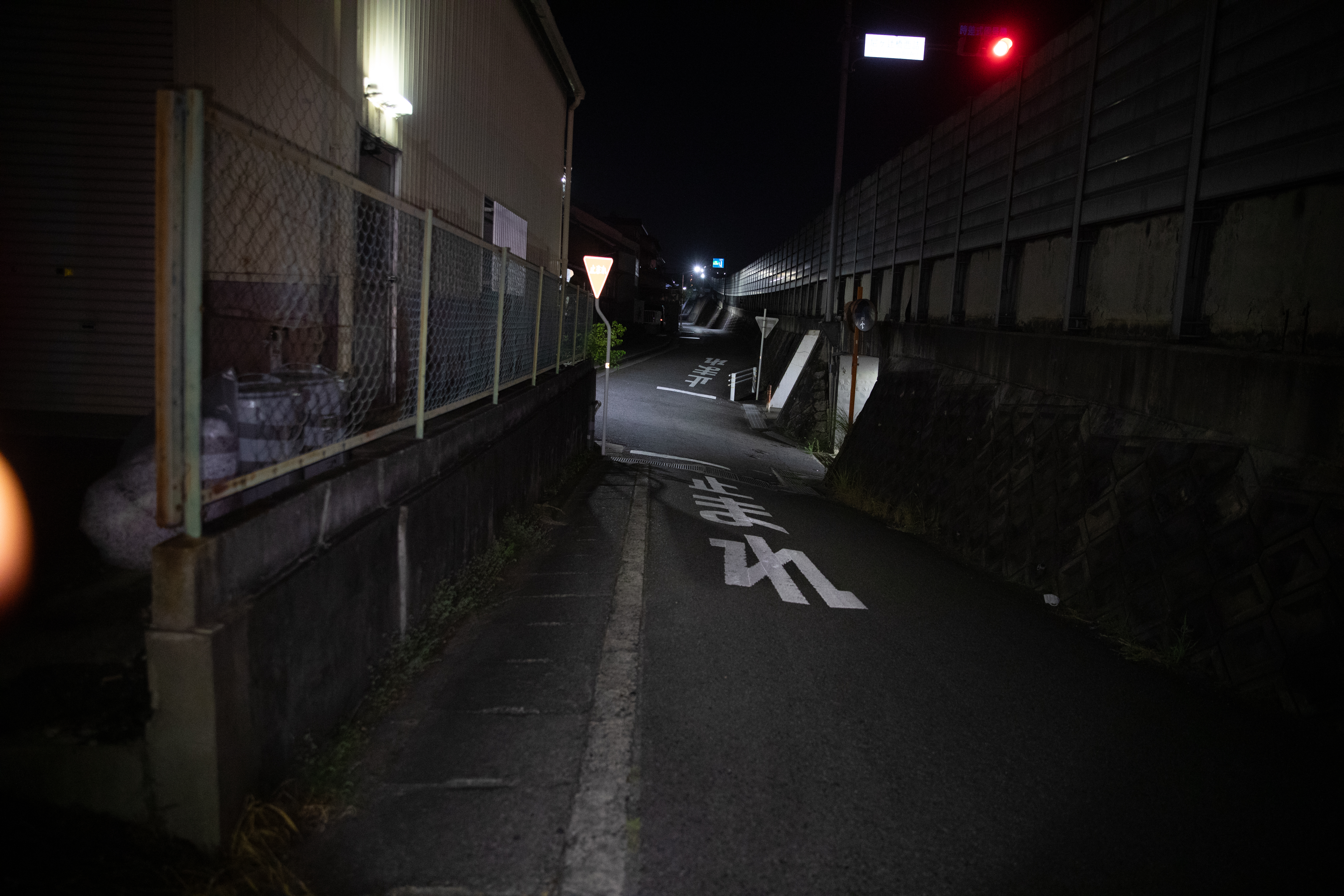 奈良夜 3