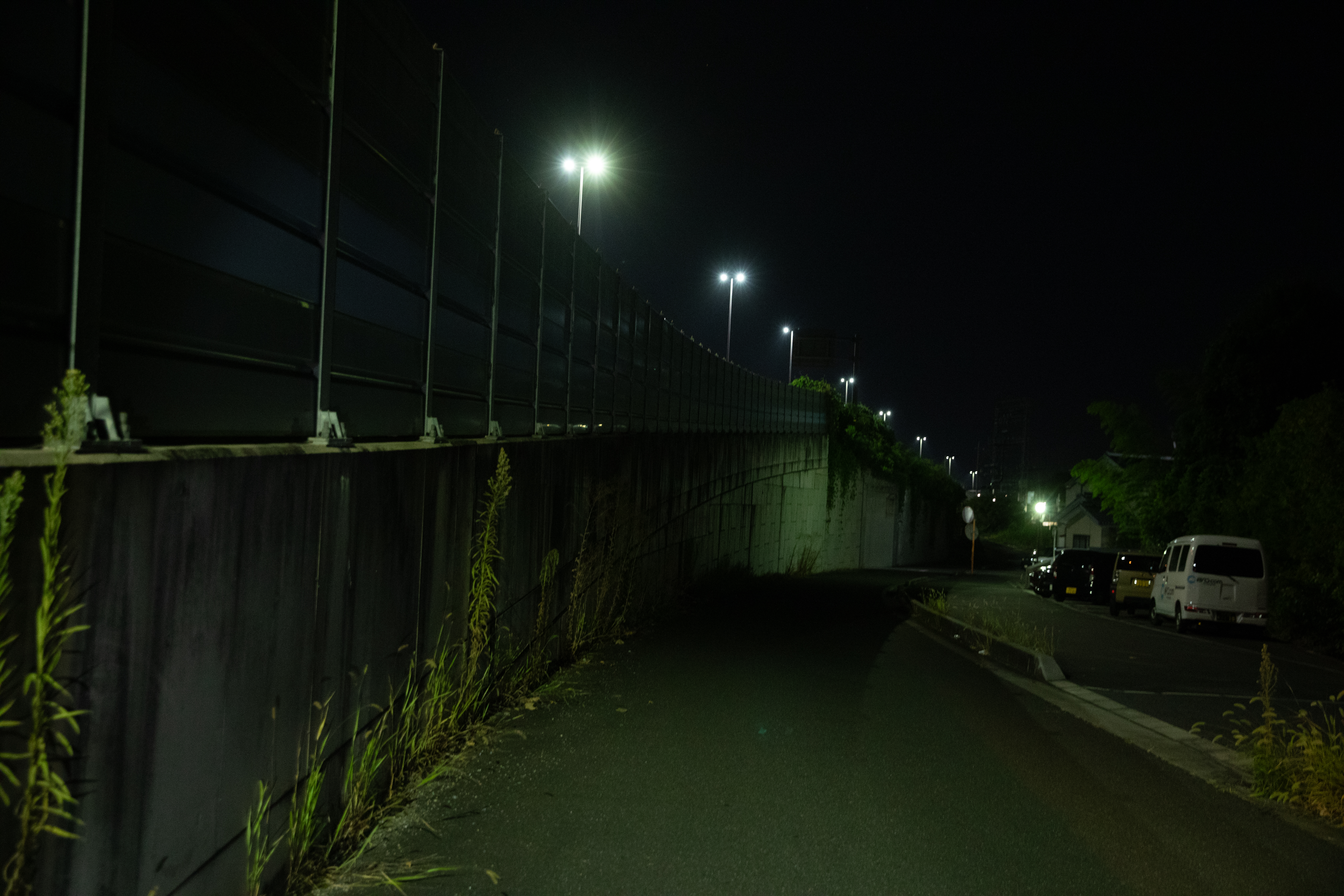 奈良夜 7